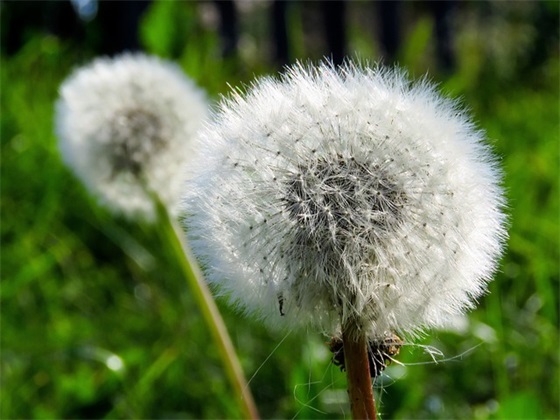 教师节寄语简短