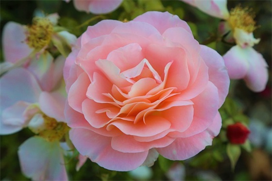 什么是设计?设计的本质是什么