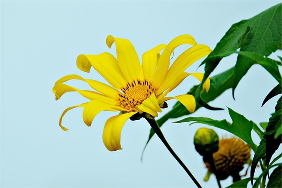 什么是特罗姆瑟?