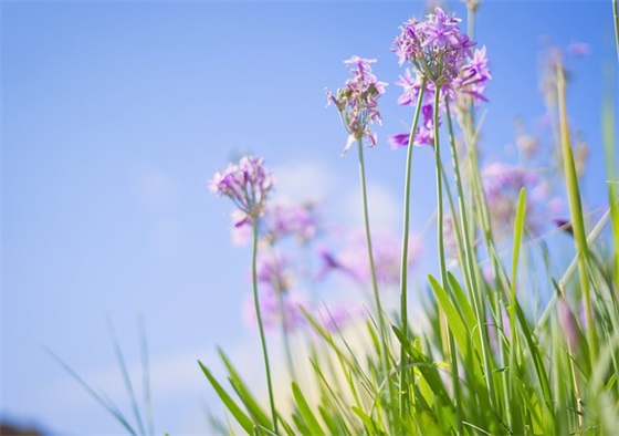 什么是数字营销?包含哪些内容?