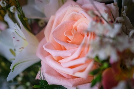 逆势增长,珀莱雅做对了什么?