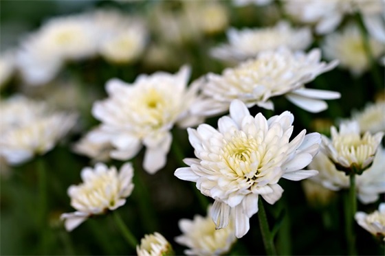 什么是光电检测?光电检测技术介绍