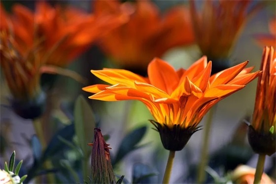 描写心情激动的句子67句