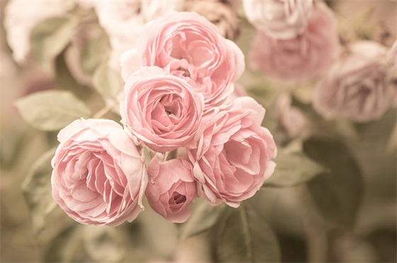 抖音甜蜜的句子86句