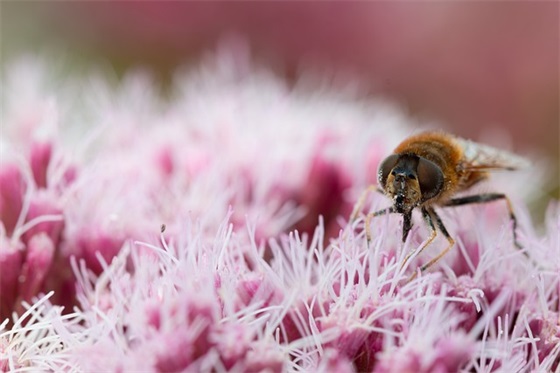 实用的生活伤感句子