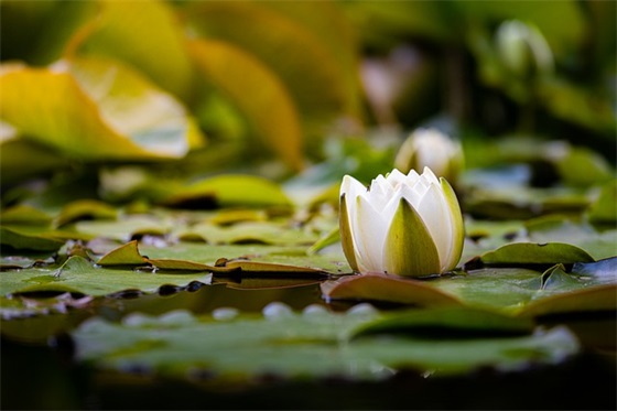 节日个性朋友圈