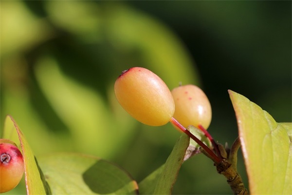 教师节对老师说的话感谢话130句