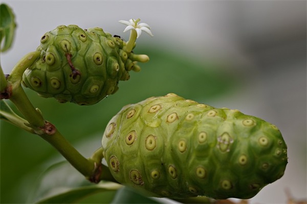 优秀人物专访范文(35篇)