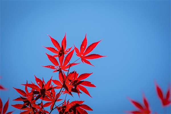 企业年鉴范文(通用十九篇)