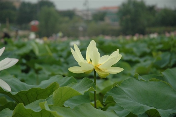 实名发检举信范文13篇