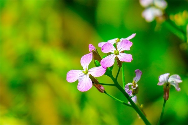 装修报价单格式范文7篇