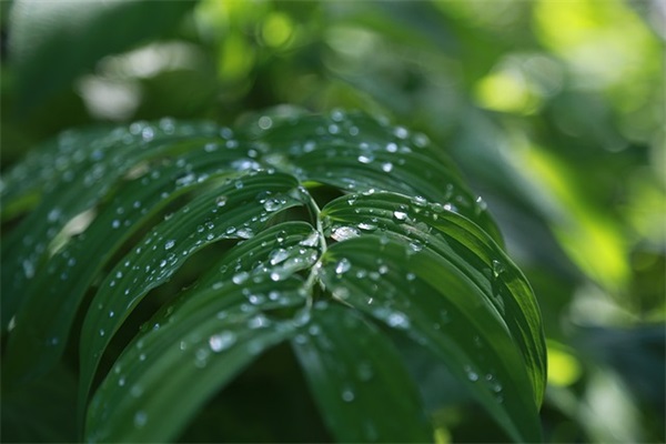 综合素质范文(精选十九篇)