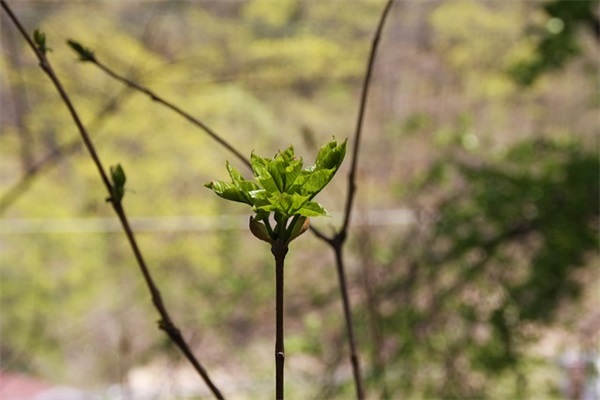 医药代表简历范文(精选十六篇)